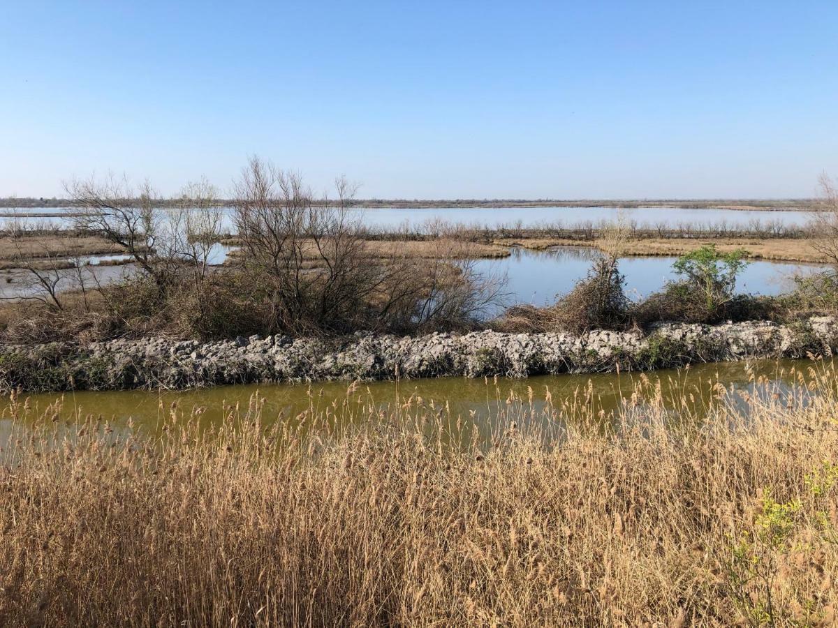 Villa Paolo San Donà di Piave Εξωτερικό φωτογραφία